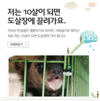 사육곰을 구출해요.