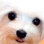 진아짱♥